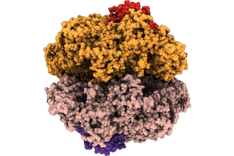 9VM8 image