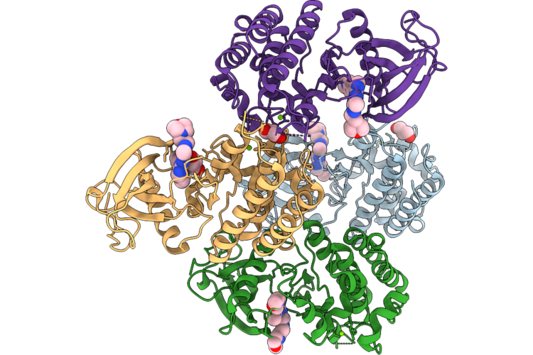 9VMB image