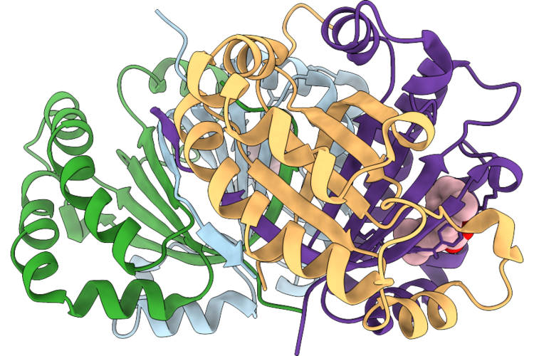 9VMC image