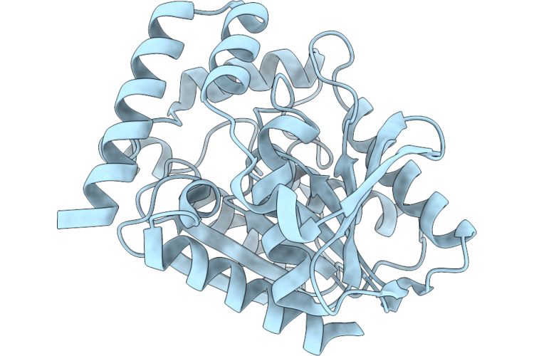 9VMR image