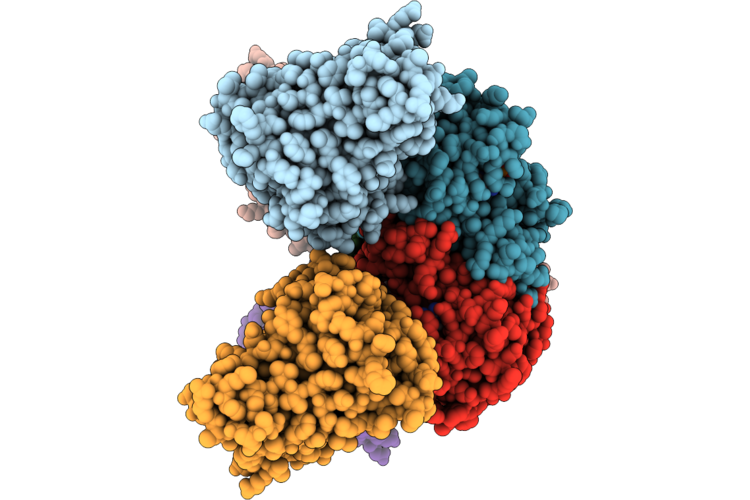 9VMT image