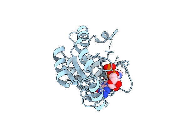 9VNG image