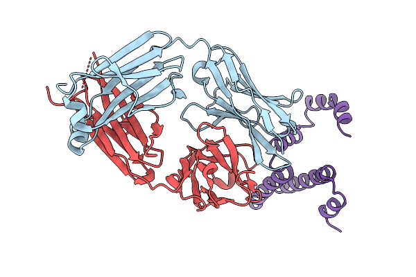 9VNP image