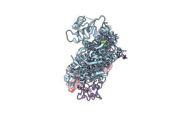 9VNT image