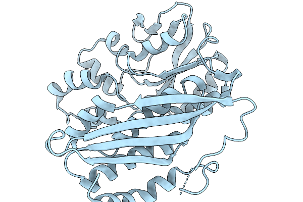 9VNU image