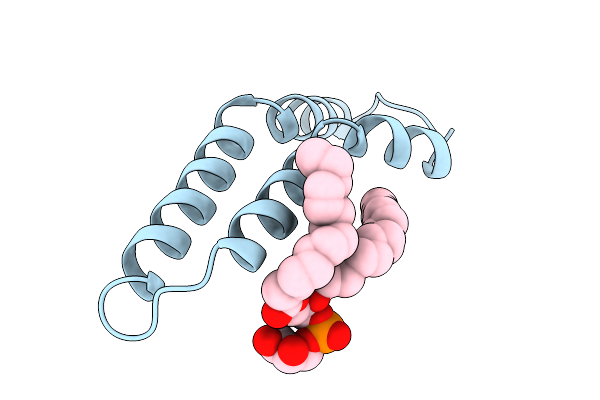 9VP3 image