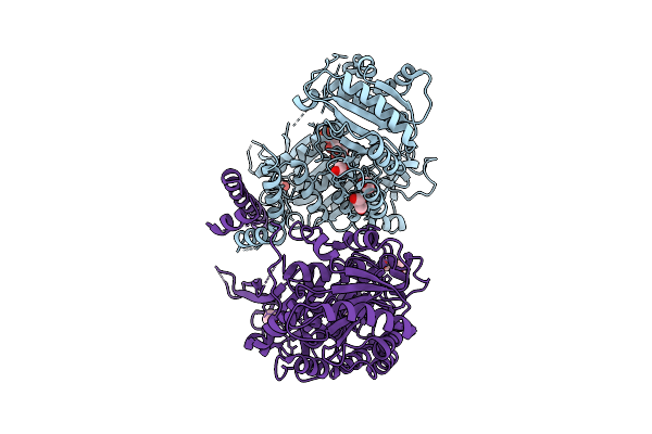 9VP6 image