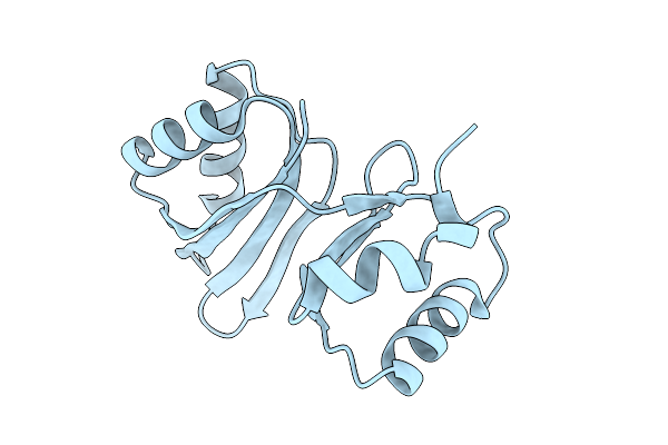 9VP8 image