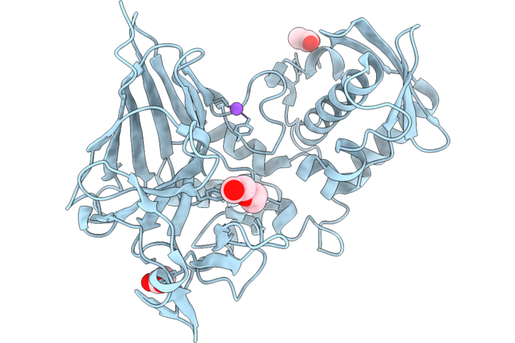 9VPA image