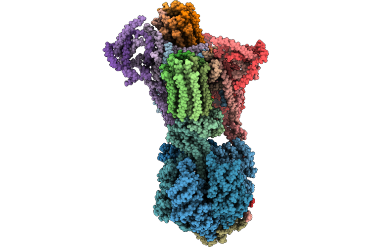 9VPB image