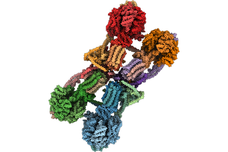 9VPC image
