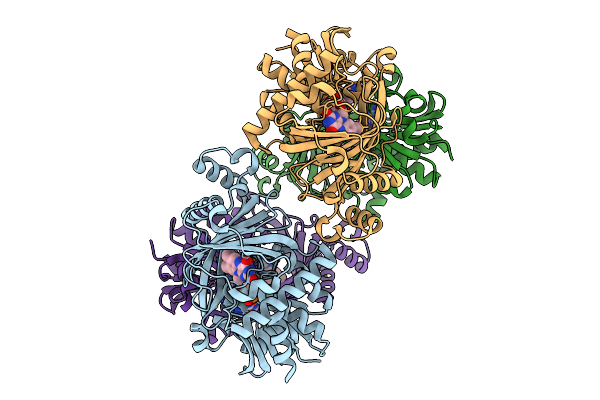 9VPF image