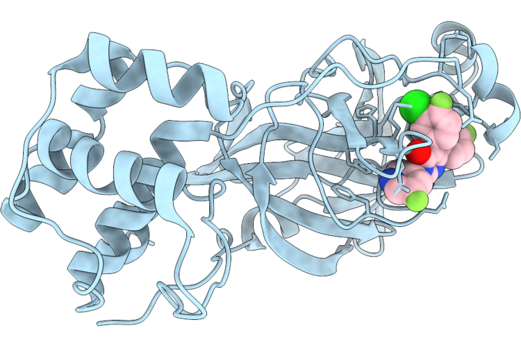 9VPH image