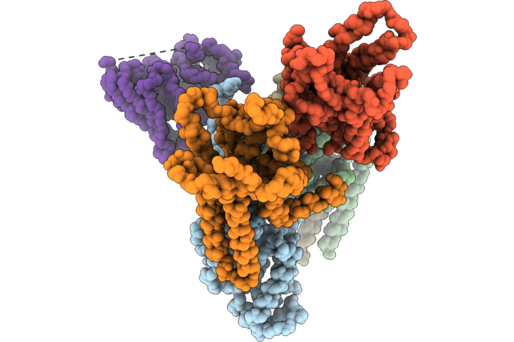 9VPM image