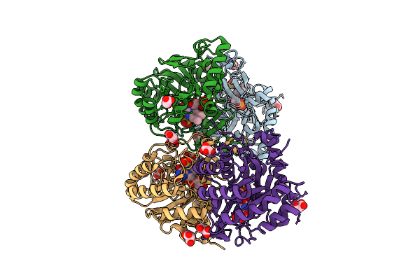 9VPS image