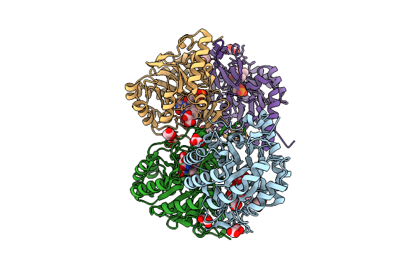 9VPT image