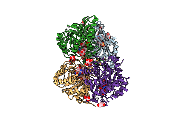 9VPV image