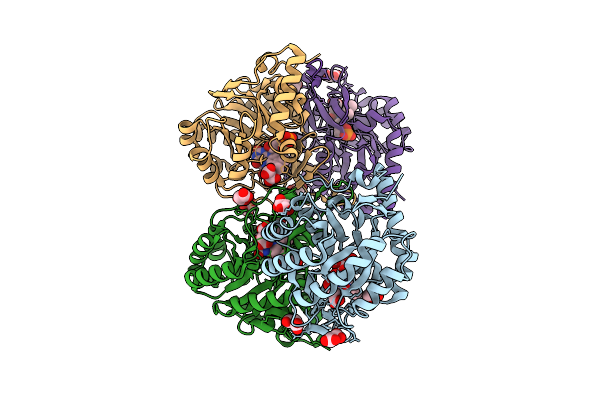 9VPY image