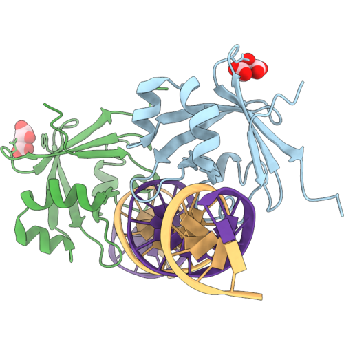 9VQI image