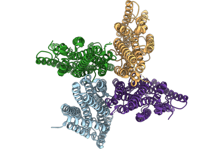 9VQS image