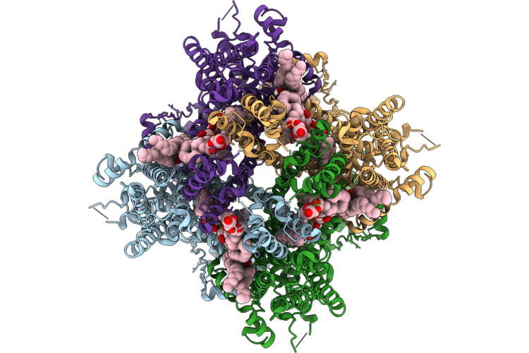 9VQX image