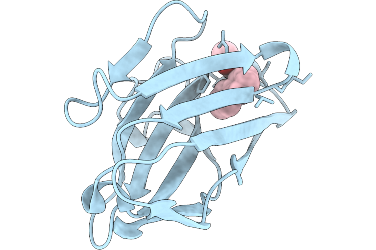 9VRF image