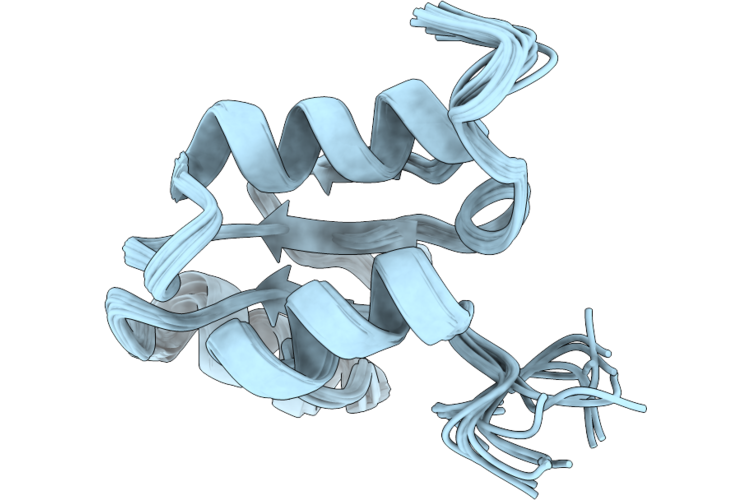 9VSE image