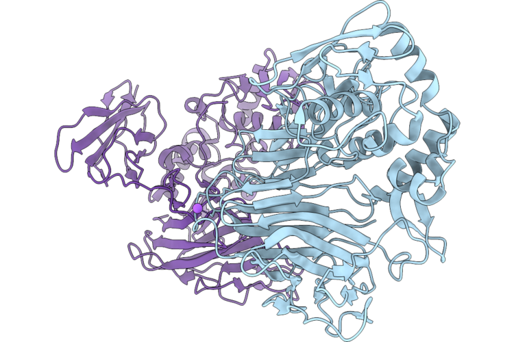 9VSF image