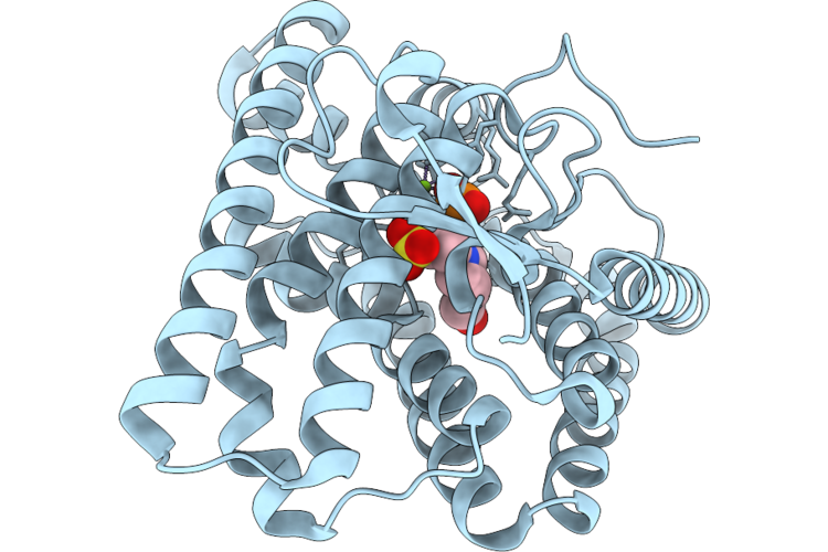 9VSG image