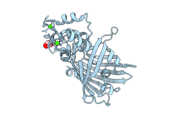 9VSJ image