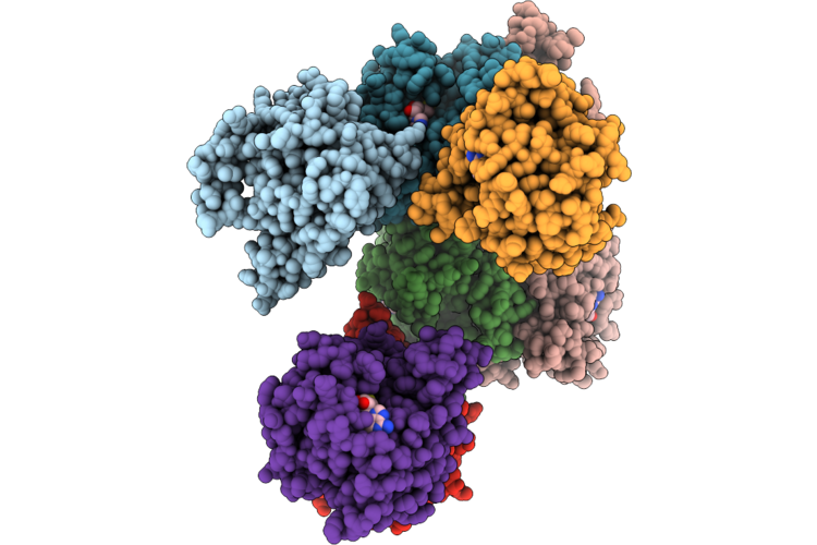 9VSK image