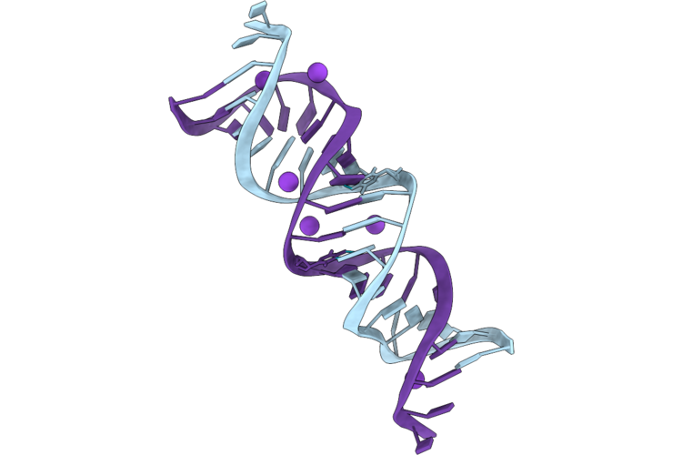 9VSN image