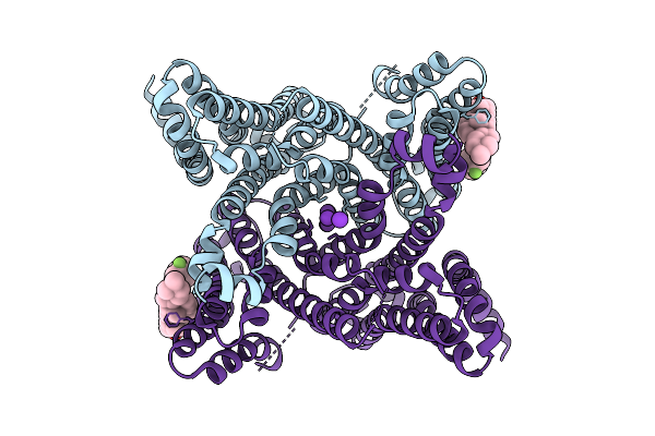 9VSQ image