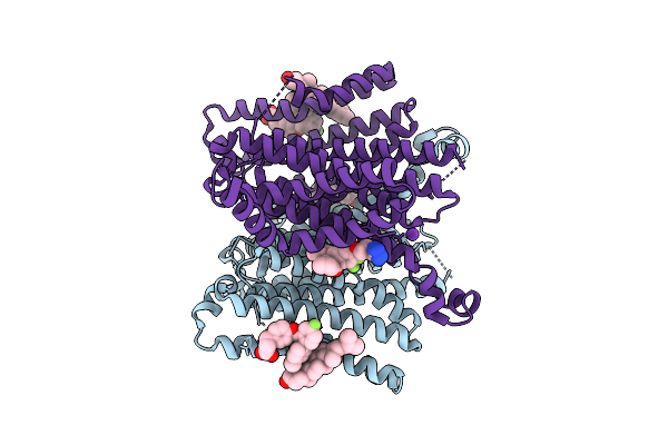 9VSR image