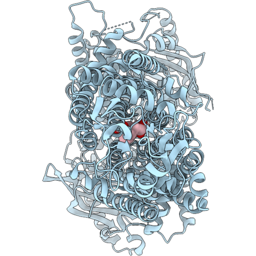 9VSV image