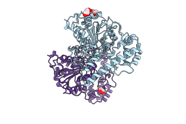 9VSX image