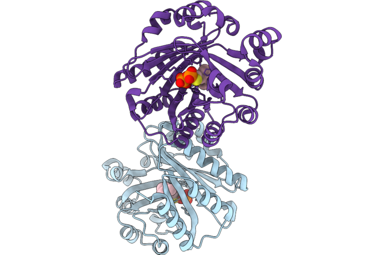 9VTA image
