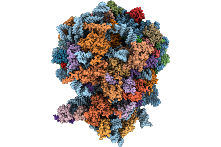 9VTI image
