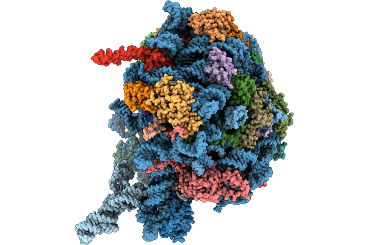 9VTJ image
