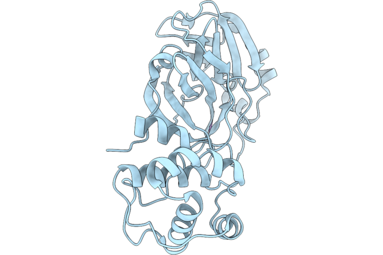 9VTL image