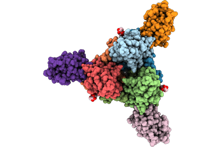 9VTS image