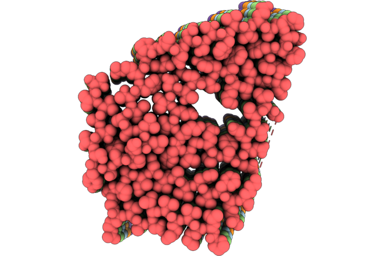 9VTW image