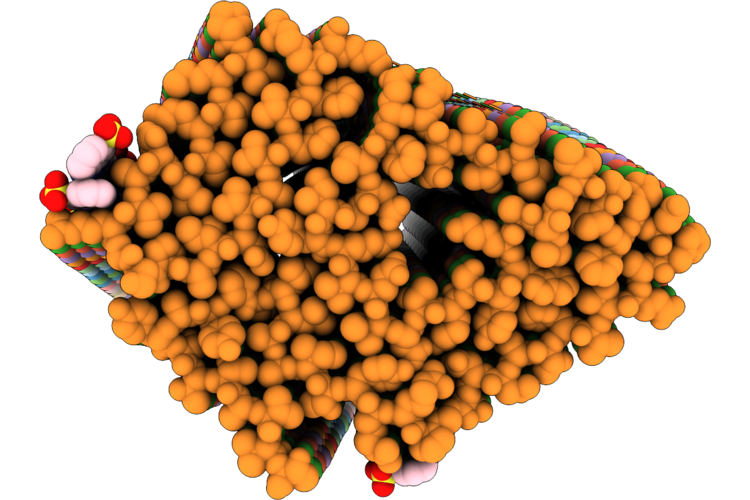 9VTX image