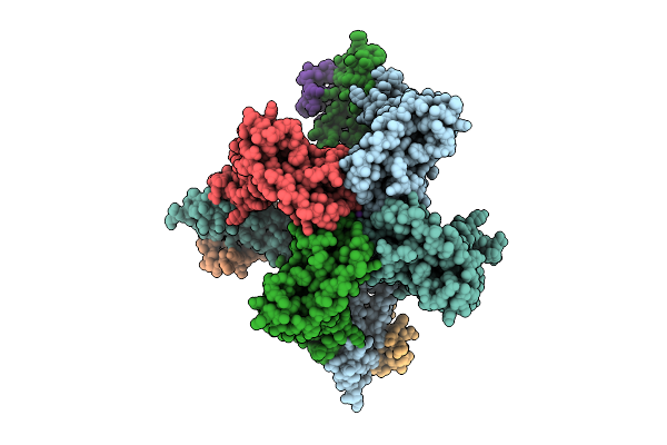 9VU9 image