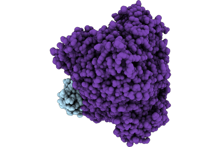 9VUK image