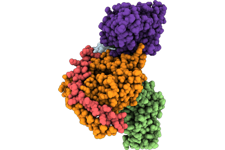 9VUS image