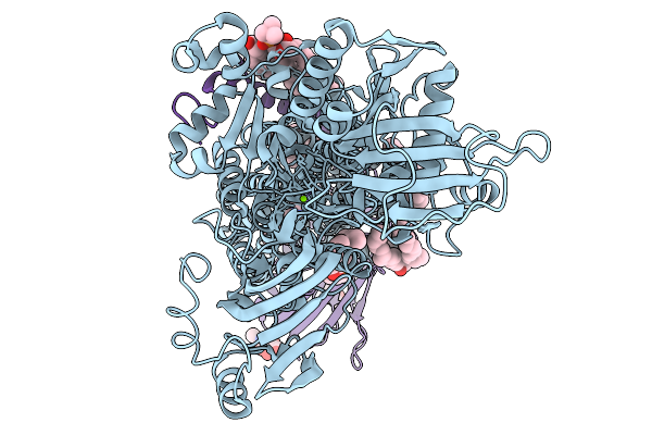 9VVO image