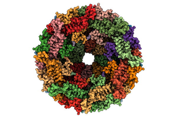 9VVP image