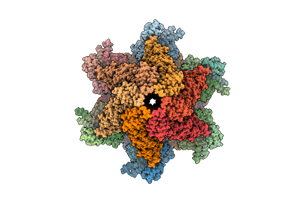9VVR image