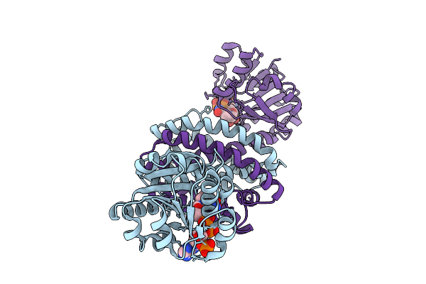 9VVS image